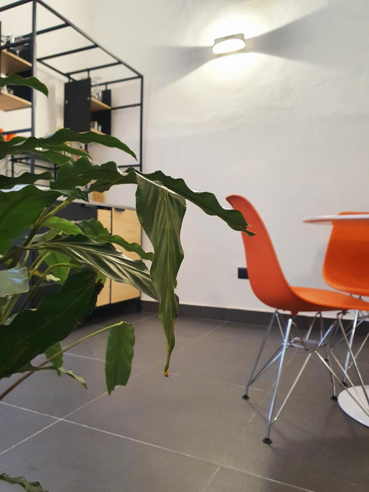 Appartement La Casa Dell'artista Nel Centro Storico - *