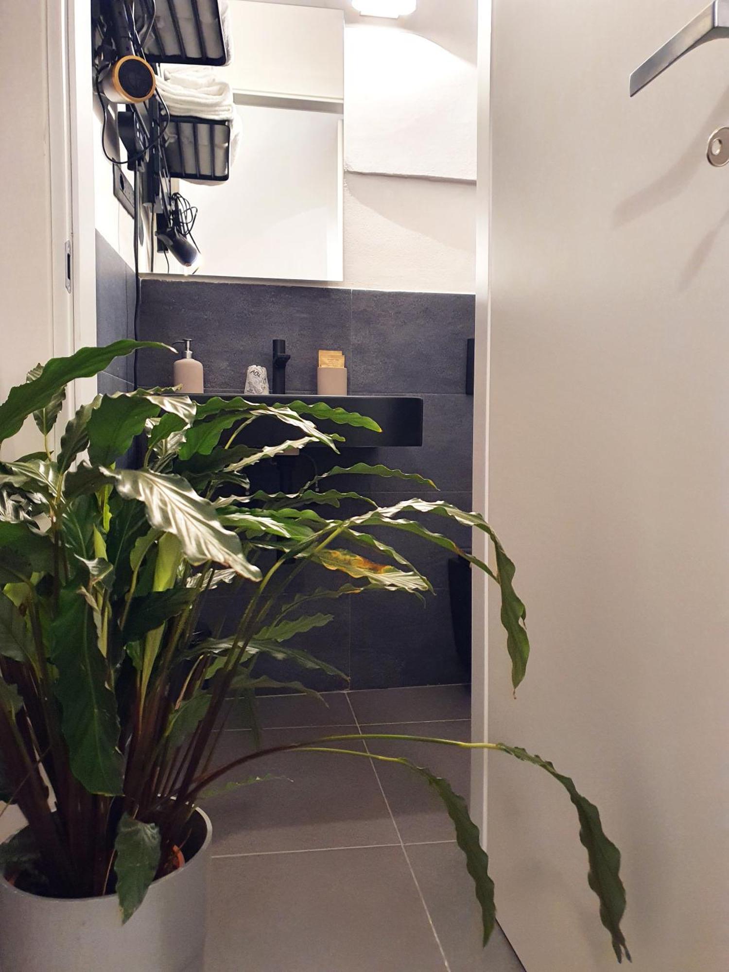 Apartment La Casa Dell'artista Nel Centro Storico - La Spezia